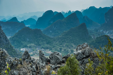 少儿百科知识大全选择题及答案