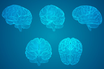 德的意思是什么