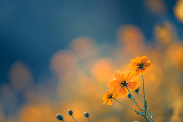 求一篇英语演讲稿 不要太难 四年级的 能一分钟说完的