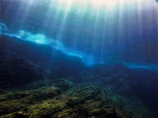 中国河南省有多少种毒蛇？