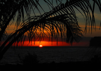 养生保健小知识整理