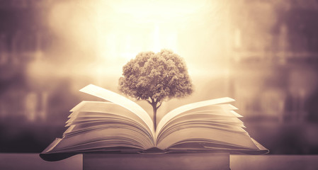 德的意思是什么