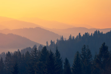 求一篇英语演讲稿 不要太难 四年级的 能一分钟说完的