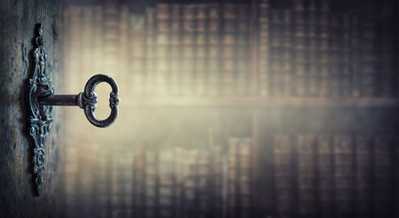 有趣的动物二年级写话怎么写？