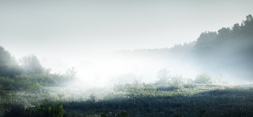 养生保健小知识整理