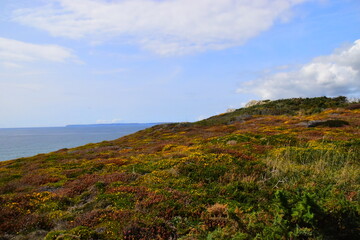 小学四年级奥数：年龄问题例题及讲解