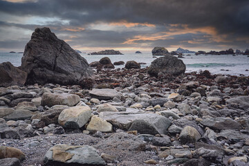 我的粉掌有什么病呢？