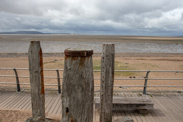 我的粉掌有什么病呢？