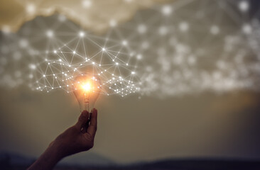 土壤分析的分类