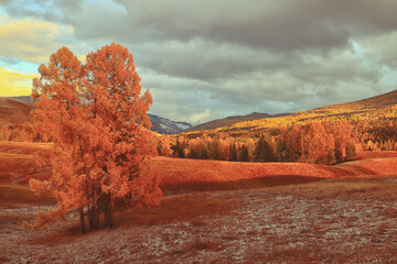 足球精神的金句