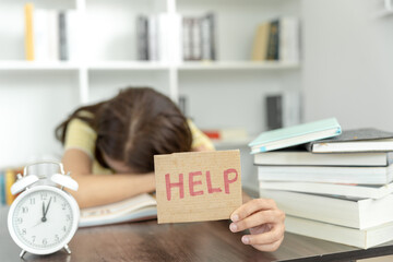 中国河南省有多少种毒蛇？