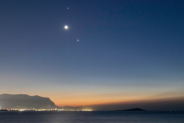 中国河南省有多少种毒蛇？