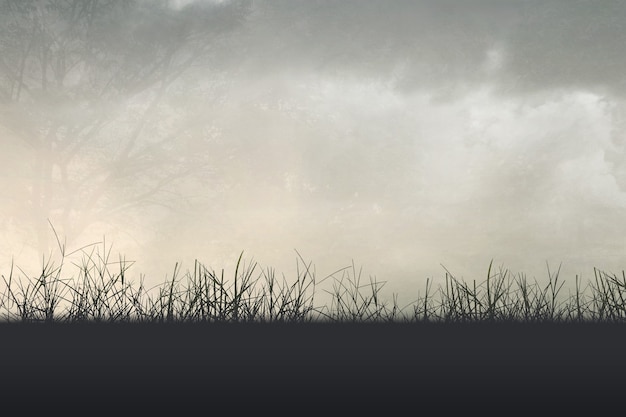 足球精神的金句