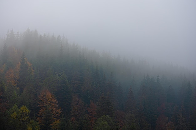 微课形式有哪些【微课的定义.形式和基本录制要求】