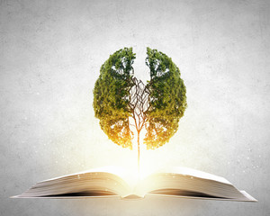 少儿百科知识大全选择题及答案