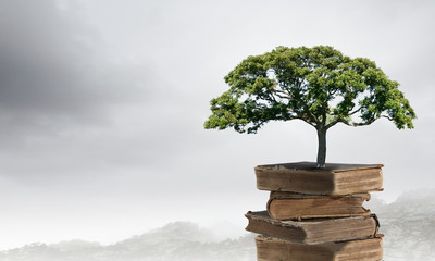 养生保健小知识整理