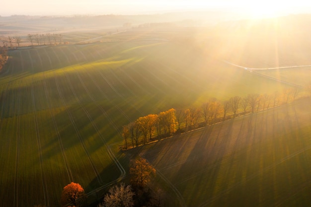 求一篇英语演讲稿 不要太难 四年级的 能一分钟说完的