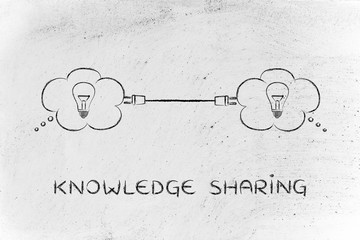 中国河南省有多少种毒蛇？