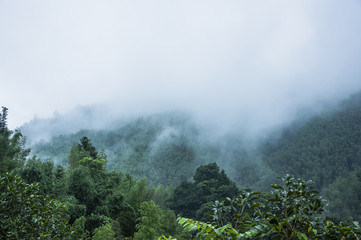 中国河南省有多少种毒蛇？